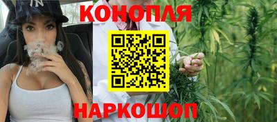 прущие грибы Дубна
